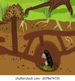 Scheme of structure of underground mole tunnels with earthworms and European mole (Talpa europaea). Below ground level landscape with mole holes, molehills and tree roots