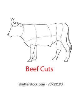 Scheme of the template - beef cuts.