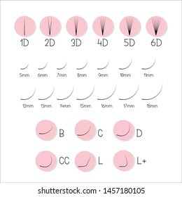 Scheme Of Volume Eyelash Extensions. Options Volume And Length Of False Eyelashes. 1D, 2D, 3D, 4D, 5D, 6D. Tutorials. The Lengths Of The And Versions Of The Curl Of Your Lashes B, C, D, CC, L, L+