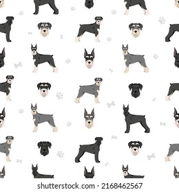 Schhnauzer Giant seamless pattern. Different poses, coat colors set.  Vector illustration