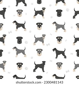 Schhnauzer Standard clipart. Different poses, coat colors set.  Vector illustration