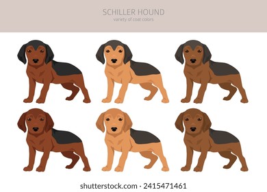Schiller Hound puppies clipart. All coat colors set.  All dog breeds characteristics infographic. Vector illustration