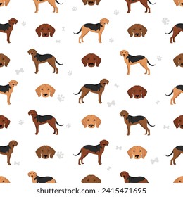 Schiller Hound seamless pattern. All coat colors set.  All dog breeds characteristics infographic. Vector illustration