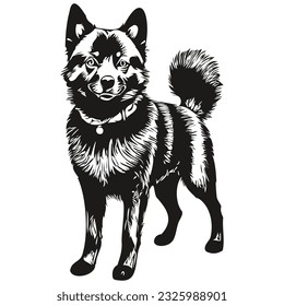 Schipperke dog breed line drawing, clip art animal hand drawing vector black and white sketch drawing