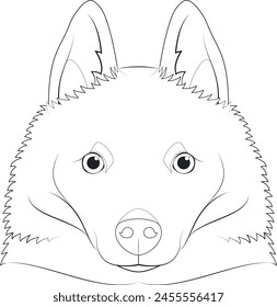 Schipperke dog easy coloring cartoon vector illustration. Isolated on white background