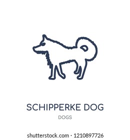 Schipperke dog icon. Schipperke dog linear symbol design from Dogs collection. Simple outline element vector illustration on white background.