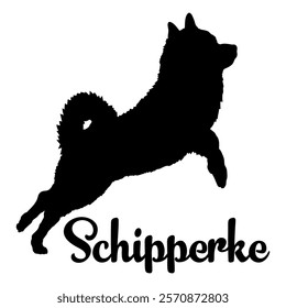 Schipperke dog silhouette, dog breeds, logo, vector, silhouette,  animal, illustration, icon, sign, design, black, symbol, pet, love
