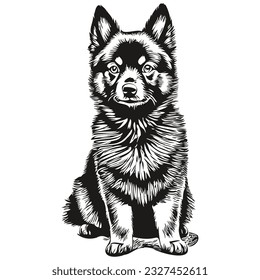 Schipperke dog t shirt print black and white, cute funny outline drawing vector sketch drawing