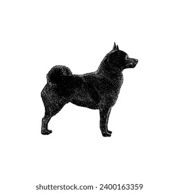 Schipperke hand drawing vector isolated on white background.