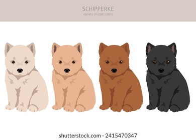 Schipperke puppies clipart. Different poses, coat colors set.  Vector illustration