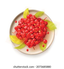 schisandra berry, magnolia-vine, five-flavor-fruit, magnolia berry, pile of berries on white plate with fresh juicy leaves. Cranberries realistic 3d vector illustration. isolated on white