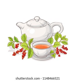 schisandra tea illustration
