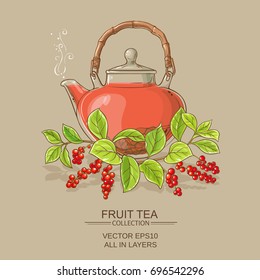 schisandra tea illustration