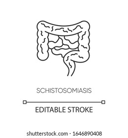 Schistosomiasis pixel perfect linear icon. Thin line customizable illustration. Viral gastroenterological disease, infectious illness contour symbol. Vector isolated outline drawing. Editable stroke