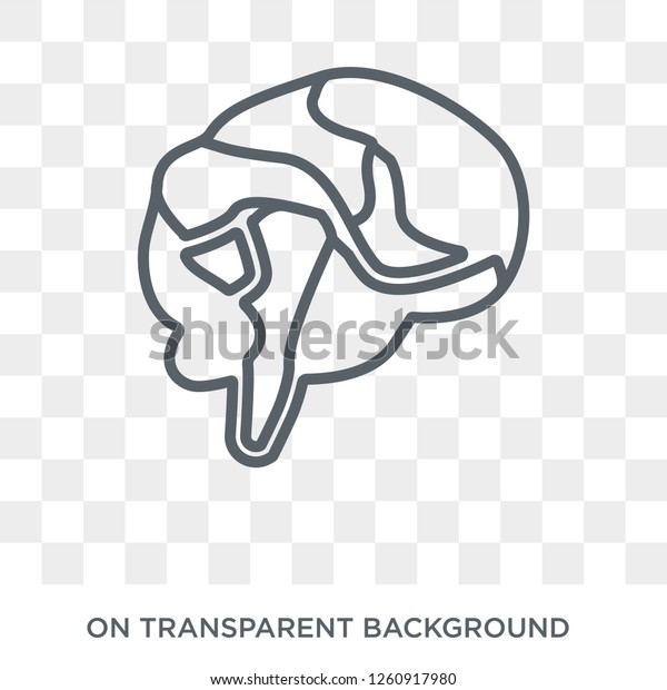 Schizophrenia Icon Trendy Flat Vector Schizophrenia Stock Vector Royalty Free 1260917980