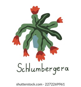 Schlumbergera vector plant with red flowers