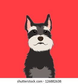 Schnauzer, The buddy dog