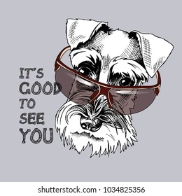 Schnauzer in a dark sunglasses. Vector illustration.