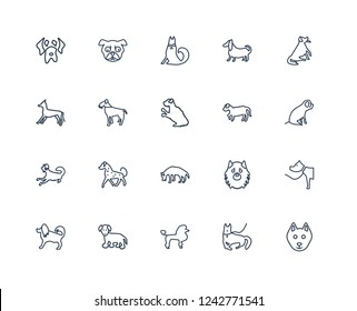 Schnauzer dog, Cane Corso Bichon Frise Beagle Hovawart Puggle Komondor Japanese Chin dog outline vector icons from 20 set