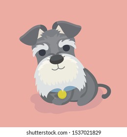 Schnauzer dog cartoon vector illustration.
