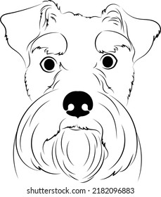 Cara de perro Schnauzer ilustración de vector