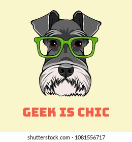 Schnauzer Dog geek portrait. Smart glasses. Dog nerd. Geek is chic lettering. Vector illustrations