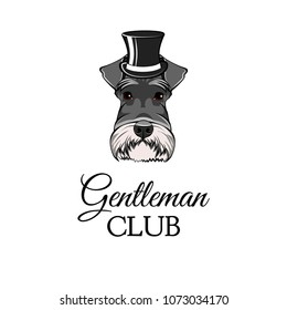 Schnauzer Dog Gentleman. Top hat. Dog portrait. Gentleman club lettering. Vector illustration