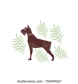 Schnauzer dog. Hand drawn vector illustration.