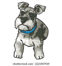 Dibujo coloreado de una mascota de perro Schnauzer