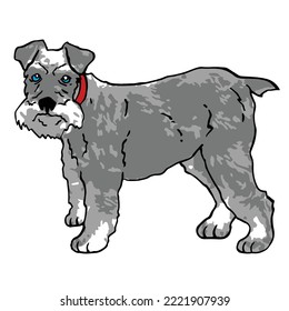 Dibujo coloreado de una mascota de perro Schnauzer