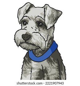 Dibujo coloreado de una mascota de perro Schnauzer