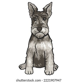 Dibujo coloreado de una mascota de perro Schnauzer