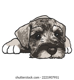 Dibujo coloreado de una mascota de perro Schnauzer