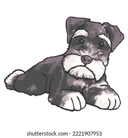 Dibujo coloreado de una mascota de perro Schnauzer