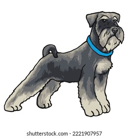 Dibujo coloreado de una mascota de perro Schnauzer