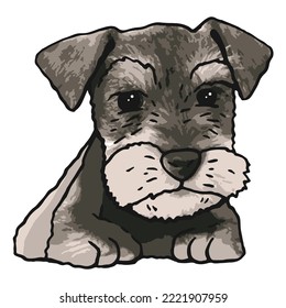 Dibujo coloreado de una mascota de perro Schnauzer