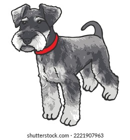 Dibujo coloreado de una mascota de perro Schnauzer