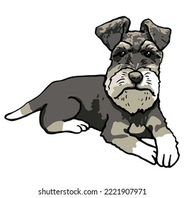 Dibujo coloreado de una mascota de perro Schnauzer