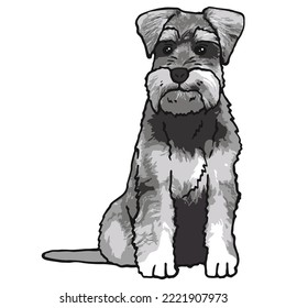 Dibujo coloreado de una mascota de perro Schnauzer