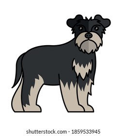 schnauzer dog pet mascot breed character vector illustration design