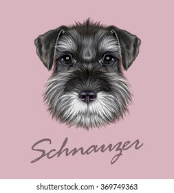 Schnauzer Dog Portrait. Vector illustrated Portrait of  Black Schnauzer on pink background.