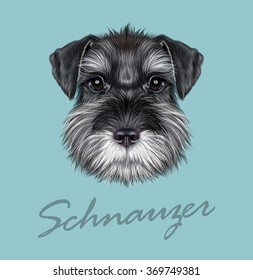 Schnauzer Dog Portrait. Vector illustrated Portrait of  Black Schnauzer on blue background.