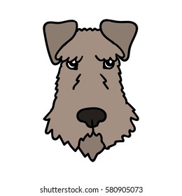 schnauzer dog portrait. vector illustration