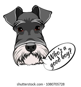 Schnauzer Dog Portrait. Who is good boy lettering. Dog breed. Schnauzer head, face, muzzle. Vector illustration