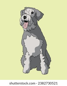 Schnauzer Dog Sitting Front View