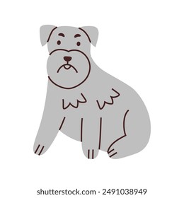 Schnauzer dog vector illustration. Cute cartoon pet with a beard and eyebrows, perfect for animal lovers, pet shops, and veterinarians. Adorable and expressive flat design, purebred terrier