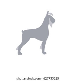 
Schnauzer dog vector illustration. Simple color symbol