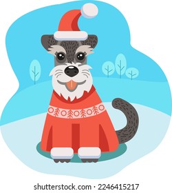 schnauzer dog in winter clothes santa