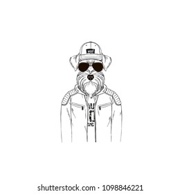 Schnauzer hipster portrait, fashion dogs
