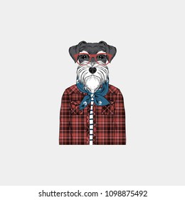 Schnauzer hipster portrait, fashion dogs